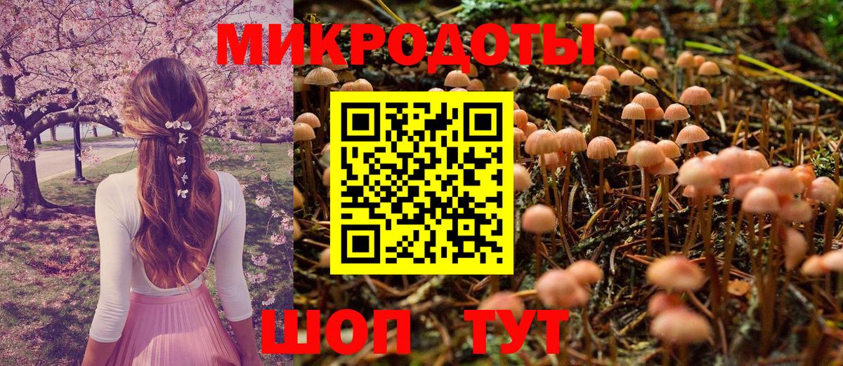 Галлюциногенные грибы Cubensis Гуково